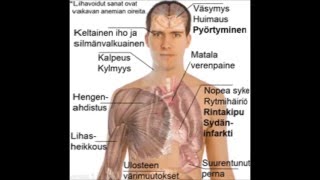 KANSANRADIO - ANEMIA - HEMOGLOBIINI