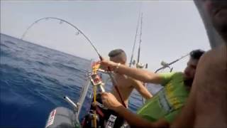 pesca del atun rojo captura y suelta