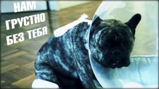 МАСТЕРСКАЯ НАСТРОЕНИЯ