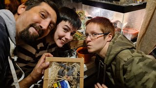 Yoll's стрим с Ветеринарами и Хиропроктологами