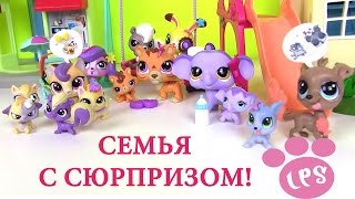Литл Пет Шоп. СЕМЬЯ С КОТЯТАМИ! С СЮРПРИЗОМ! МАМЫ И МАЛЫШИ! LPS Игрушки для девочек