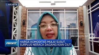 Ekonom: Harga & Volume Ekspor Susut Bikin Surplus Dagang Ciut