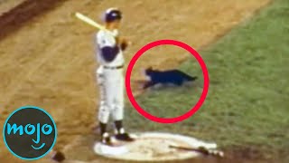 Top 10 Wildest Animal Incidents In Sports