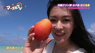 リゾートライフマーブルTV宮古島編①