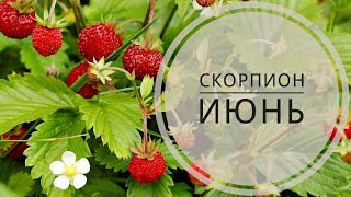 СКОРПИОН ГОРОСКОП прогноз на ИЮНЬ 2018 для всех. Гадание на картах таро