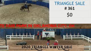 37th Triangle Winter Sale - DAY TWO