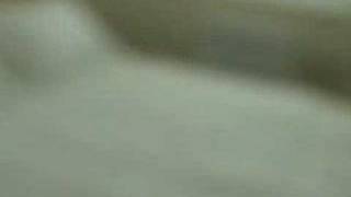 "中国宿舍（China Dorm）" ——中国学子全新高档的理想公寓！2