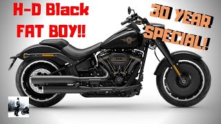 H D 30th Anniversary Fat Boy details released