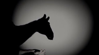 Театр теней-рук | TINIVO | Hand Shadow Show |