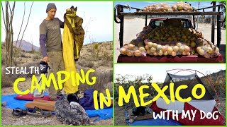 Camping In The Mexican Desert WILDERNESS w/ My Rescue Dog