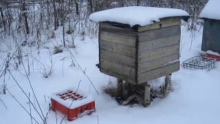 Контрольная ревизия пчел зимой.Проверка запасов подкормки.Состояния клуба пчел после оттепели.