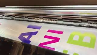 HP Latex 335