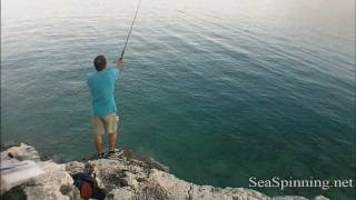 SHORE JIGGING -- Συναγρίδα (Dentex) 4.420kg