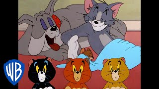 Tom und Jerry auf Deutsch | Können sie jemals in Frieden zusammenleben? | WB Kids