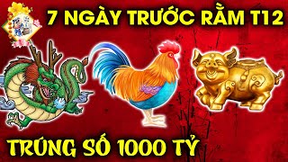GIỚI TIÊN TRI SỮNG SỜ, TOP 3 CON GIÁP ĐANG KHỔ VÌ TIỀN, BẤT NGỜ ĐƯỢC LỘC, LÀM ĂN VƯỢNG PHÁT.