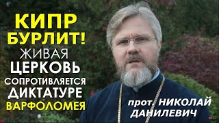 Нет еще НИ ОДНОГО "признания ПЦУ" соборным путем. Прот. Николай Данилевич