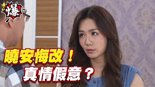 《多情大爆爆》多情城市 EP256 曉安悔改！真情假意？
