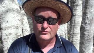 Исак Фридман част 4 Инструктор по Кинезиотейпинг