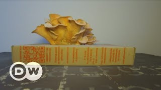 Doing Your Bit: Growing mushrooms in coffee grounds | DW English