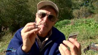 THE BEST FISHING I'VE HAD IN AGES! | TAFishing