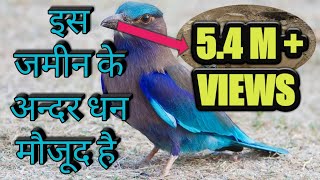 जमीन में गढ़ा धन होने के महत्तवपूर्ण संकेत