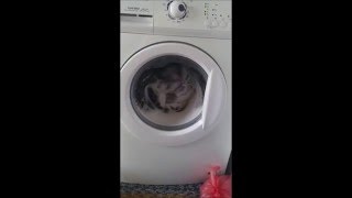 Zanussi ZWG 7100 K autowasher