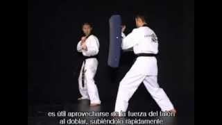 Bandal Chagui