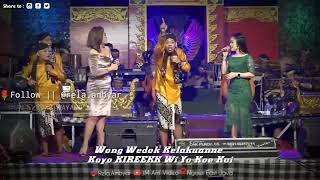 Story WA || PUISI CIDRO || CAK PERCIL.