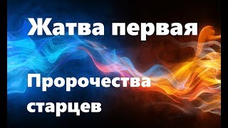 ЖАТВА ПЕРВАЯ. Пророчества старцев