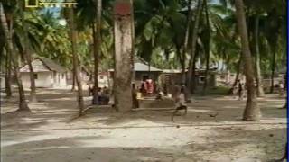 National Geographic - Zanzibar Leopards