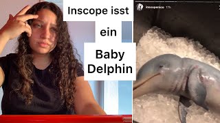 Inscope isst ein Baby-Delphin (Reaction ohne Statement )