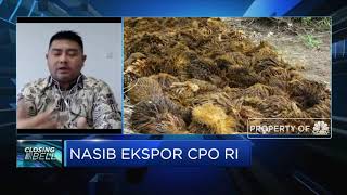 Kenaikan Tarif Tak Pengaruhi Penyerapan CPO RI di Pasar India