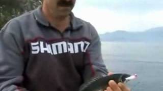 ΜΕΛΑΝΟΥΡΙΑ ΣΤΗΝ ΣΥΡΤΗ ΜΕ ΨΑΡΑΚΙΑ RIVER2SEA