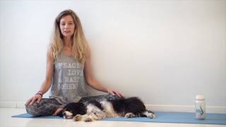 Yoga Projekt • Eversports Studio Manager