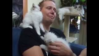 Compilation of our hugging Ragdoll cat.