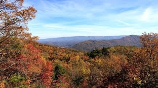 Fall at Pine Mountain