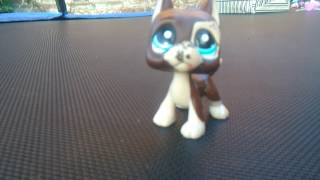 Prodavam dogy