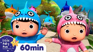 Baby Shark Dance | + More Nursery Rhymes & Kids Songs | Songs For Kids | Little Baby Bum
