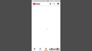 How to add DNG files or Preset in Lightroom Mobile App