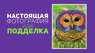 ТРИ ГРУДИ?! ФОТО НАСТОЯЩЕЕ или ФЕЙК? #6