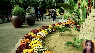 VLOG #9 | MUTTARD CONSERVATORY | TKW CANADA PLESIRAN PART 3