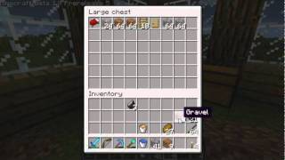 Mindcrack 002