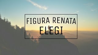FIGURA RENATA - ELEGI (LIRIK)