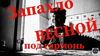 БЛАТНЯК на ГАРМОНИ!Запахло весной А.У.Е. (Бутырка ПЕСНИ на гармони) ШАНСОН ГАРМОШКА!Сыграл Бутырку