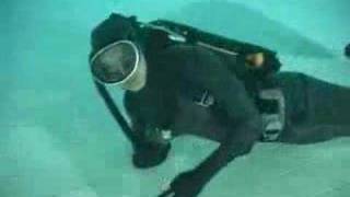 Feminine latex lady in scuba gear