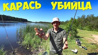 РЫБАЛКА НА УБИЙЦА КАРАСЯ ЖАРЕНЫЙ КАРАСЬ С КАРТОШКОЙ НА ДИСКЕ ИЗ БОРОНЫ