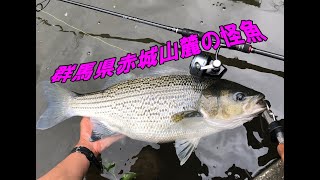 釣りガールも赤城山麓で怪魚釣り　Fishing in Japan