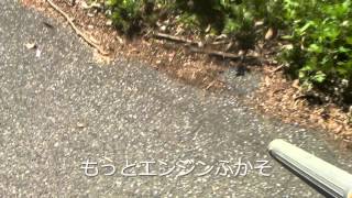 動力散布機で道路掃除