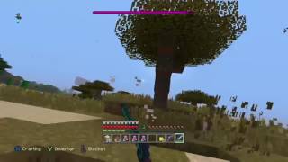 Minecraft Wither Boss besiegen⚔