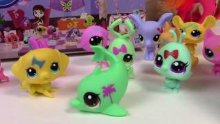 Lps Слепой Мешок Тянуть Littlest Зоомагазин Вечеринка Stylin Питомцы Коробка Случай Игрушка Обзор О